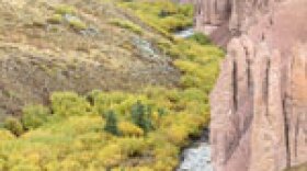 Rio Grande National Forest