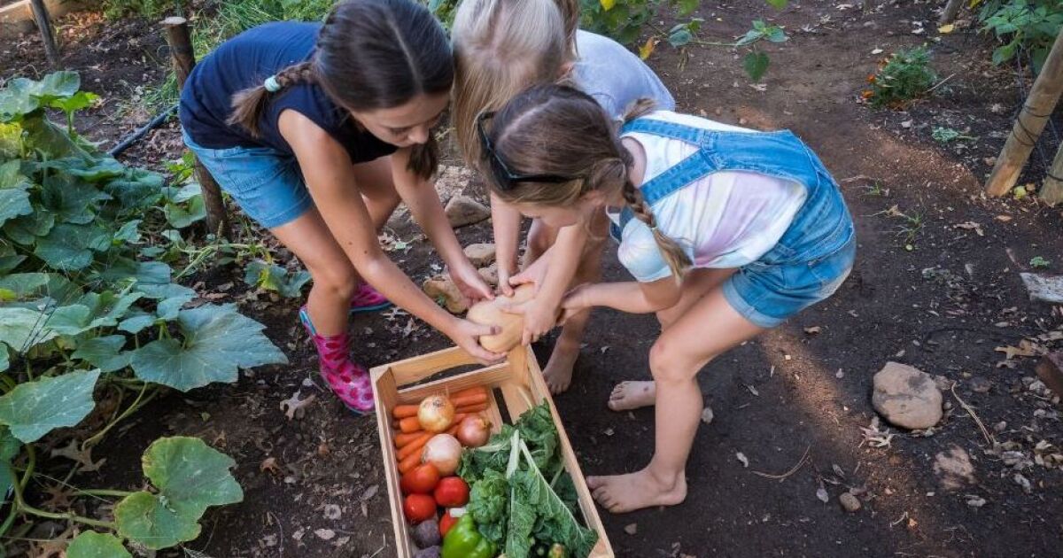 USDA selects Maine nonprofit to receive millions of dollars to make school meals healthier