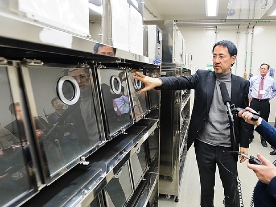 Bird flu researchers use ferrets to study how the virus mutates and spreads. Here virologist Yoshihiro Kawaoka points to the ferret cages in his laboratory at the University of Wisconsin-Madison.