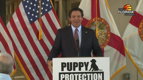 Governor DeSantis proposes puppy protections.