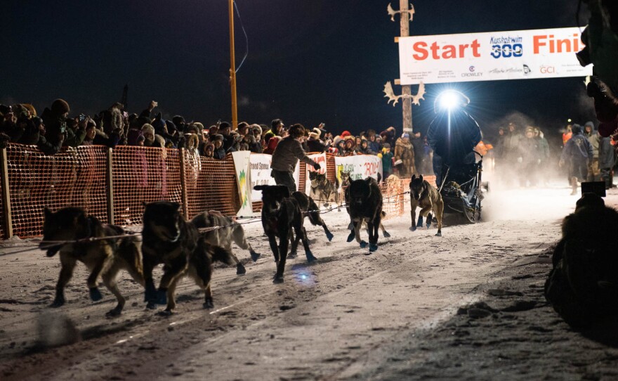 A musher takes off during the 2018 Kuskokwim 300 in Bethel, Alaska.