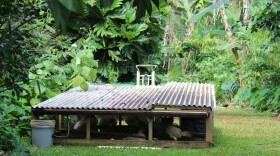 Common Ground Kauaʻi's mobile chicken coops fertilize nearby tree with their  manure.