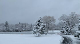 Snow scene Jan. 23, 2023 at White Park in Concord, NH.