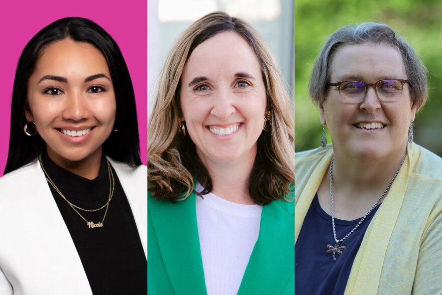 House District 88 Democratic candidates (left to right): Nicole Maldonado, Ellen Pogemiller and Paula Sophia