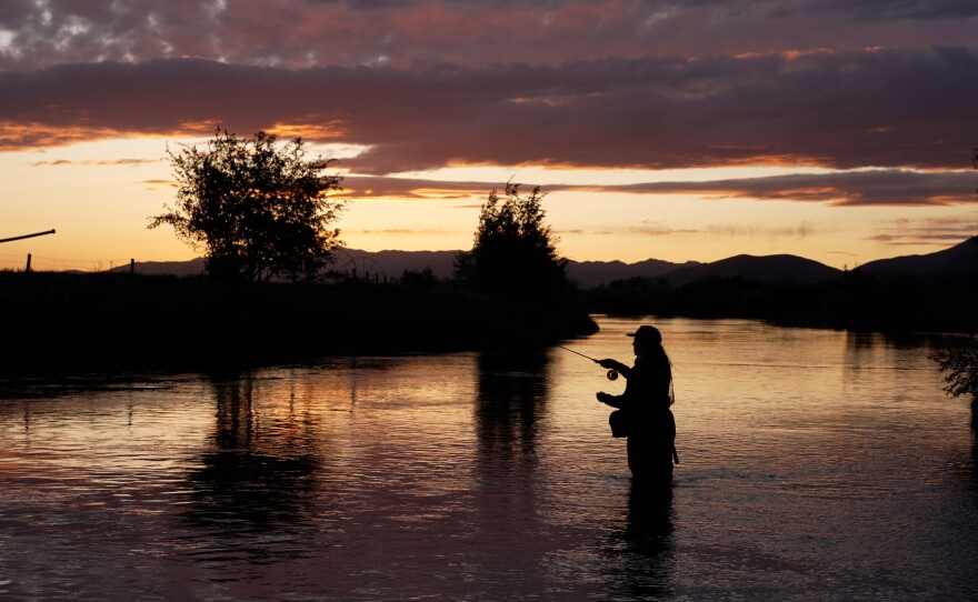 Fly fishing at night for the brown drake hatch!