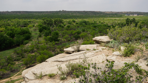 The view from the Upper Bluff Trail.