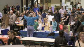 sarsef exhibits tables