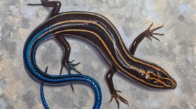 A salamander sculpture