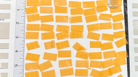 Suboxone strips allegedly smuggled into a mid-Michigan prison by an attorney in August.