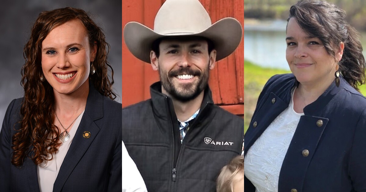 Linn and Lane County Republicans compete for open Oregon State Senate seat
