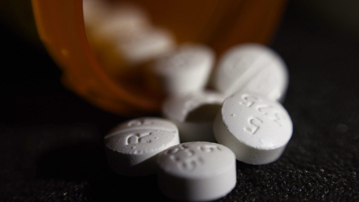 Ditch old and unused medications, Florida attorney general says - Vimarsana News