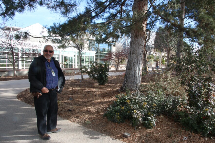A bald man in a blue shirt and black jacket stands next to a green shrub planted in the ground. There's a tree and a large white building with many windows behind him.