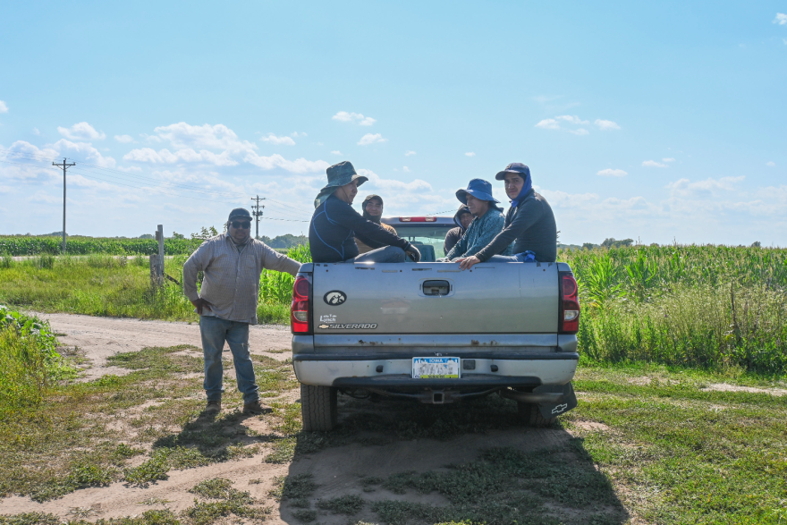 Juan Carlos Baltazar Peña (left) and other farmworkers take a quick break in a field in southeastern Iowa in late July. While this summer has not been especially hot in Iowa, the crew leader (standing) said, he's noticed over the years summers have gotten hotter.<br/>