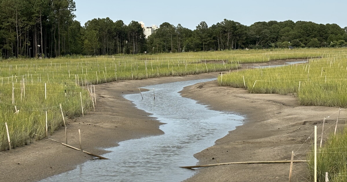 Judge dismisses residents' lawsuit over Pleasure House Point wetlands project