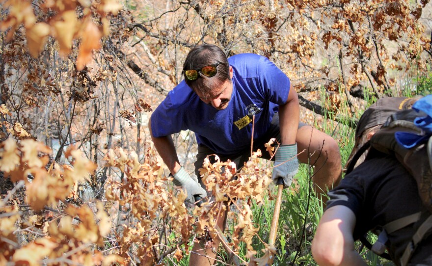 Volunteers clipped, sawed, and pruned vegetation away from the trail. That work is designed to clearly delineate the course of the hiking trail, keeping people from stepping onto adjacent plants.