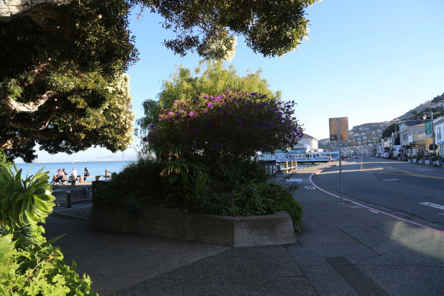 Sausalito's Downtown Historic District is exempted from Measure X.