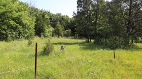 Vanessa Allen's Prperty