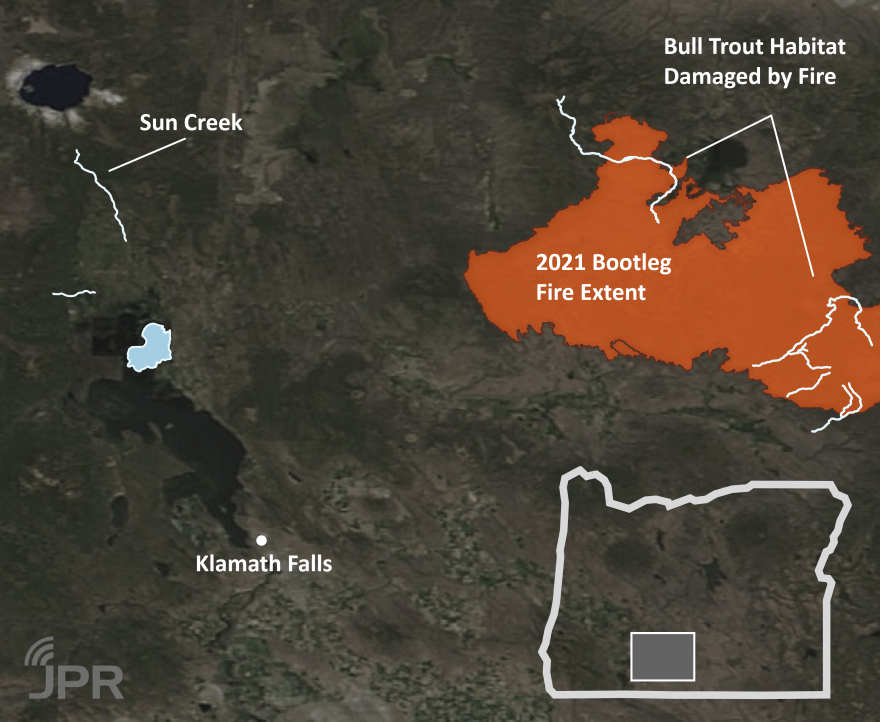 A graphic overlaid on top of a map showing the Klamath Basin. In the top right is crater lake, right below are two small white lines, one of them is labeled, "Sun Creek." On the bottom left is a dot labeled, "Klamath Falls." In the top right are five white squiggly lines representing tributaries, with some branches, labeled, "Bull Trout habitat damaged by fire". Intersecting most of those lines is an orange outline, which is labeled, "2021 Bootleg fire extent." In the bottom right is an outline of the state of Oregon, with a small portion near the bottom left covered by a grey rectangle, signifying that is the region represented on the map.