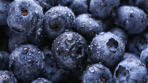 Fresh ripe blueberries with drops of water, closeup