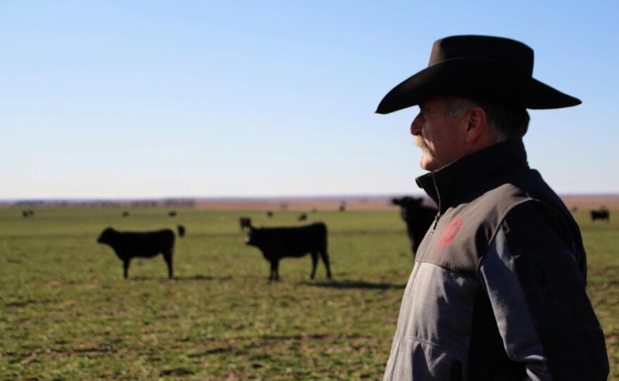 Mark Gardiner is a board member of CattleTrace and a rancher in Ashland, Kansas. He called the program a good, safe system.  (photo credit: Corinne Boyer, Kansas News Service)