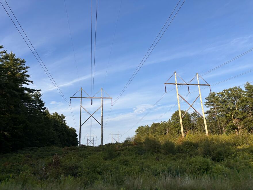 Power lines in Windham on July 19, 2025.