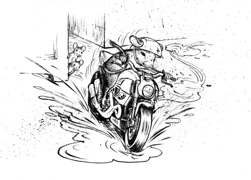 Cleary says she wrote <em>The Mouse and the Motorcycle </em>for her son. "He was in about the third grade and was disillusioned with school and reading and I said, 'Well, what would you like to read about?' And he said: 'Motorcycles.'"