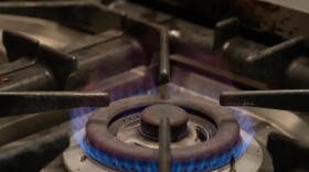 Flames from a gas stove in Denver, Colorado.
