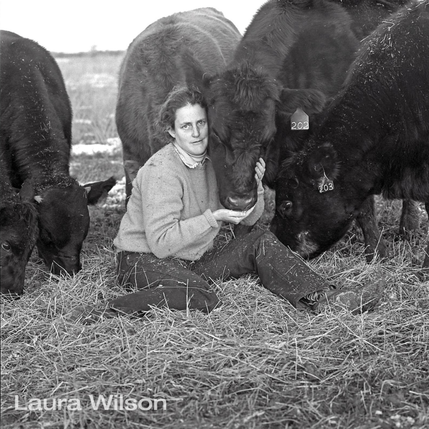 Temple Grandin in 1993