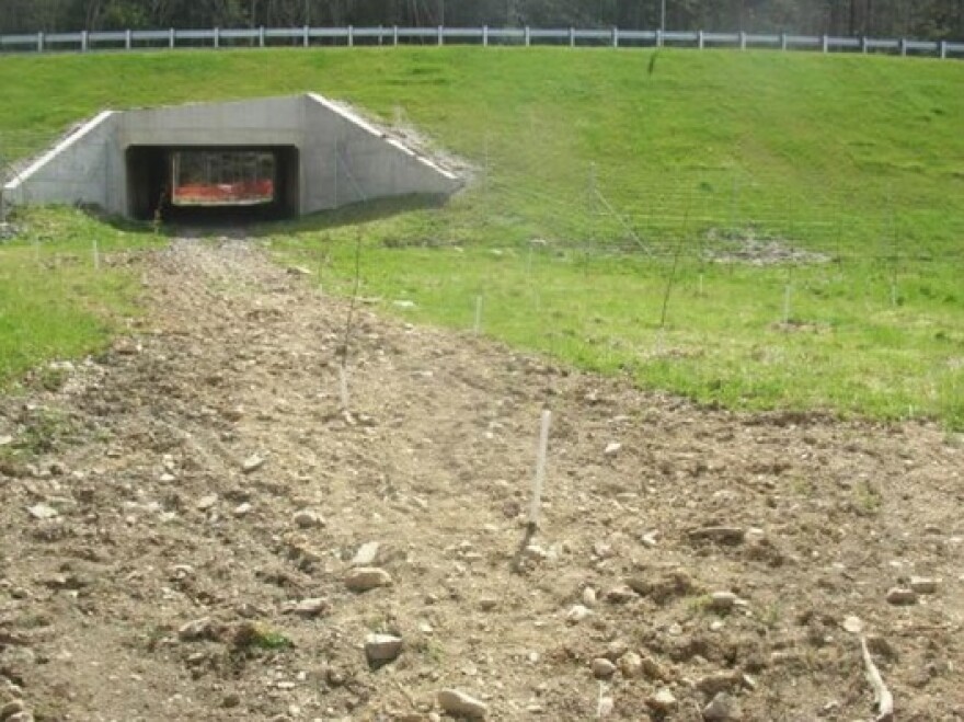 PennDOT constructed a large mammal underpass Route 209 in Monroe County to accommodate animals like bears and white-tailed deer. The underpass is paired with wildlife fencing and plantings.