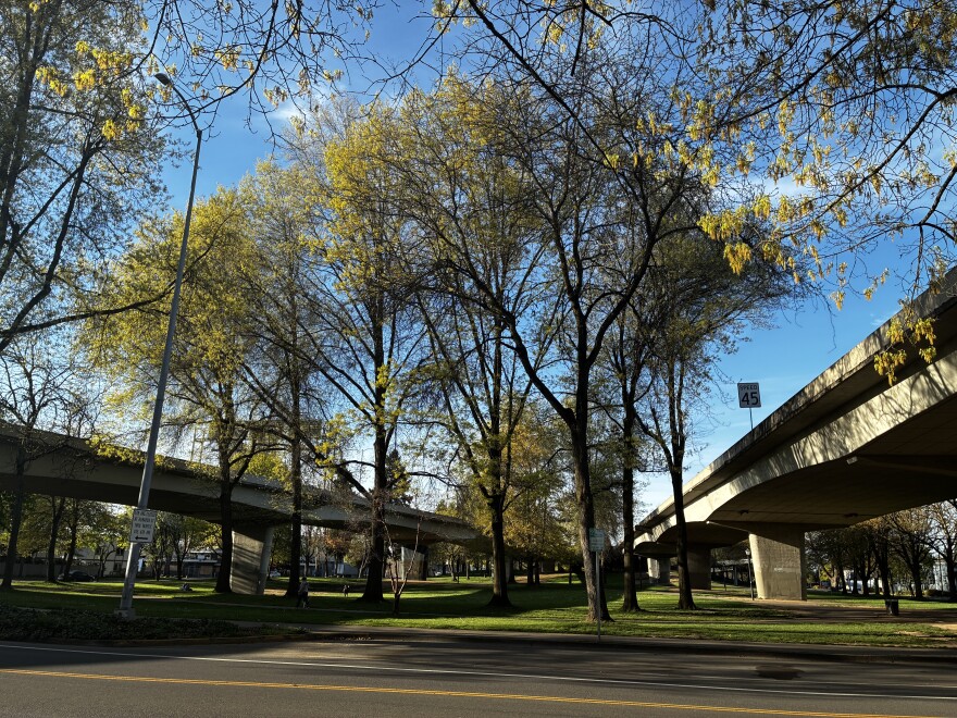Washington Jefferson Park in Eugene, April 7, 2026.