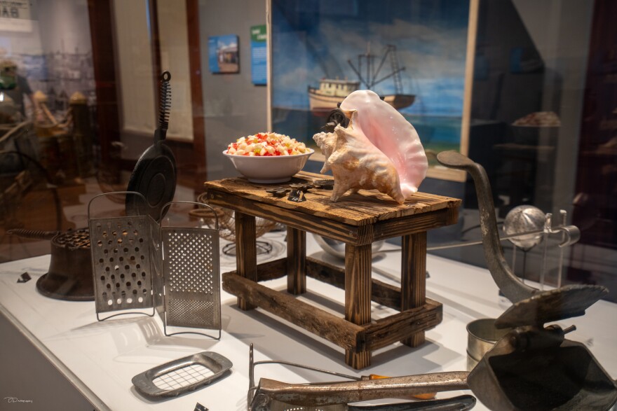 A conch, a grater, a citrus juicer and a fake diorama of conch salad as part of a museum display. 