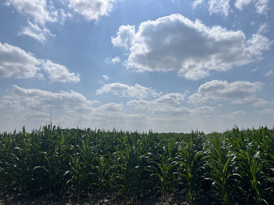 Most of foreign owned land in Michigan is forested areas of the Upper Peninsula as opposed to cornfields and farmland.