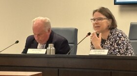 Ward 7 Council member Mollie Ward speaks at the Bloomington City Council committee of the whole meeting Monday night.