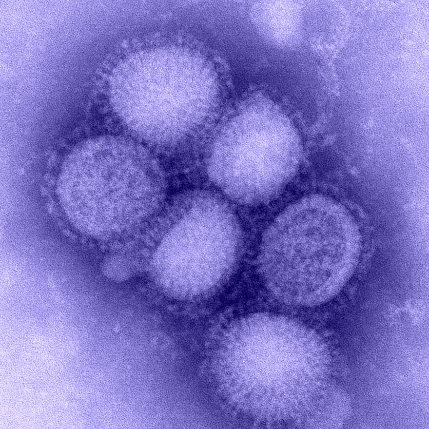 Image of the H1N1 virus.