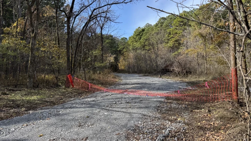 The logging in southern Illinois’ Shawnee National Forest began in August before hitting a legal pause in early September.