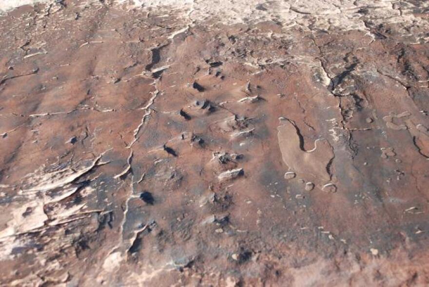 Fossilized tracks at Gold Butte give clues to UNLV researchers about the kind of creatures that lived there before the dinosaurs.