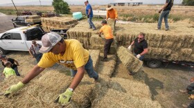 Jim Shanks, left, and other ranchers from the Klamath River Basin collect hay. (AP Photo/Nathan Howard)