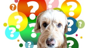 Tucker has questions.