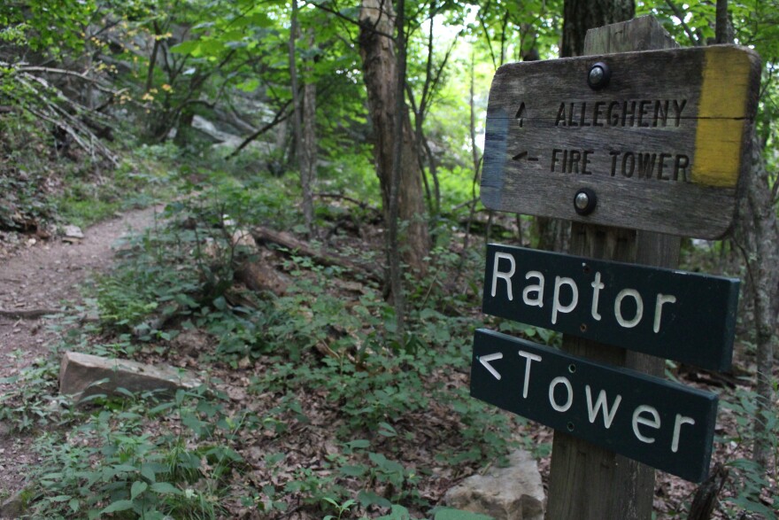 hanging_rock_raptor_observatory_1.jpg