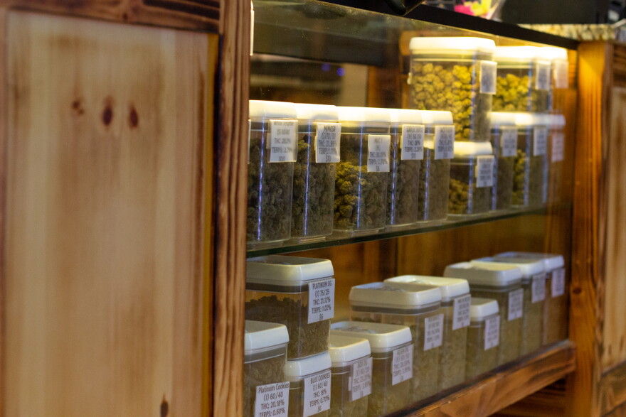 Shelves stocked with marijuana ready to be sold.