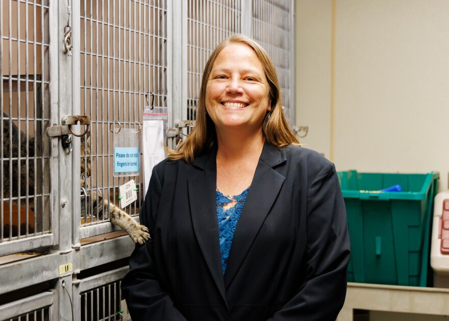 Animal services director Marshell Thomson in a room with cat cages. A cat paw is sticking out and reaching for her.