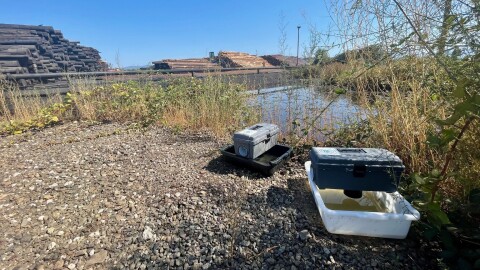 Dozens of mosquito traps around the county help the Jackson County Vector Control District monitor various types of mosquitoes in the region, including those carrying the West Nile Virus, which is a public health concern for officials.