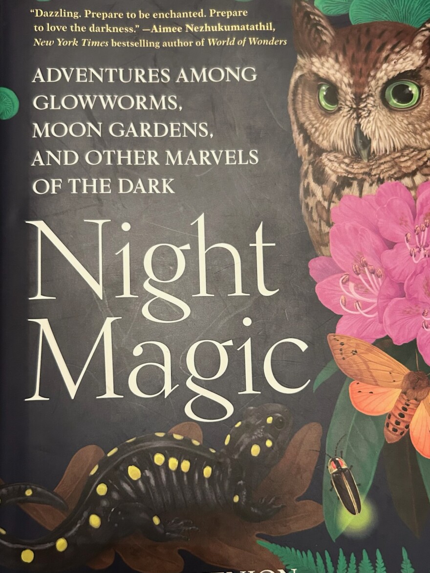 Drawings of an owl, glowworm and firefly provide the cover for "Night Magic," written by Leigh Ann Henion 