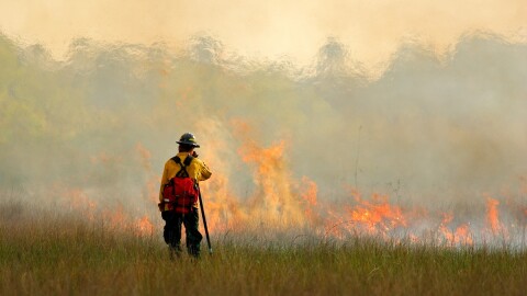 Wildfire in the Florida Everglades; grass in flames and smoky fumes rising. A fireman leaning on a shovel faces the flames 