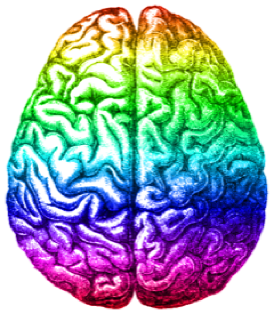 Rainbow_brain-Aug_2014.png