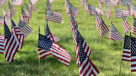 365 flags form a memorial in Lansing's Evergreen Cemetery