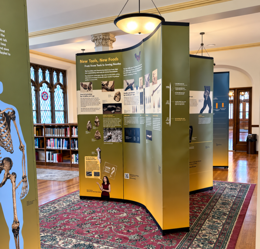 A traveling exhibit by the Smithsonian National Museum of Natural History of Washington, D.C., at Eden Theological Seminary in Webster Groves. The exhibit is free and will be open to the public at the seminary starting Tuesday.