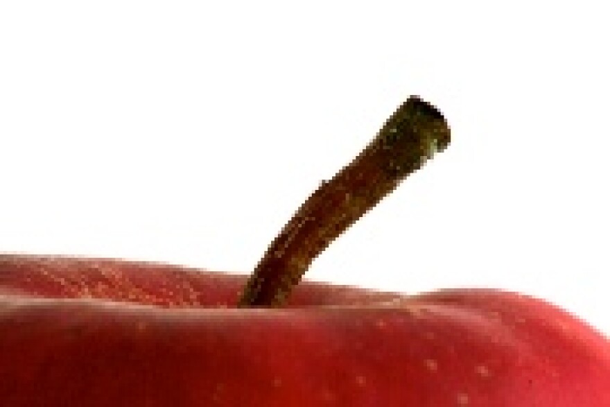 Photo by Karel Hermans