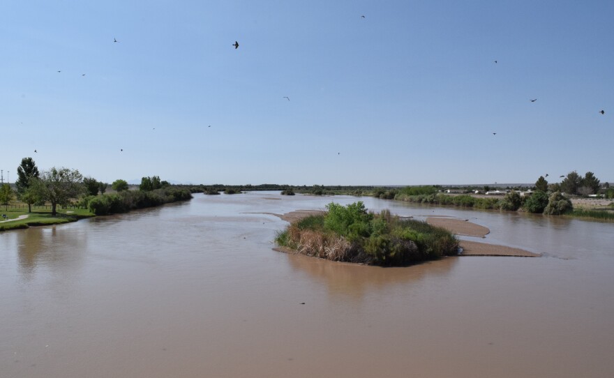 Rio Grande in Las Cruces
