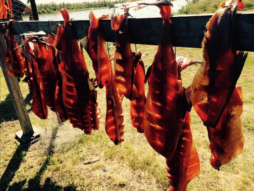 Kuskokwim River salmon dry on a rack at a fish camp near Napaskiak in 2016.